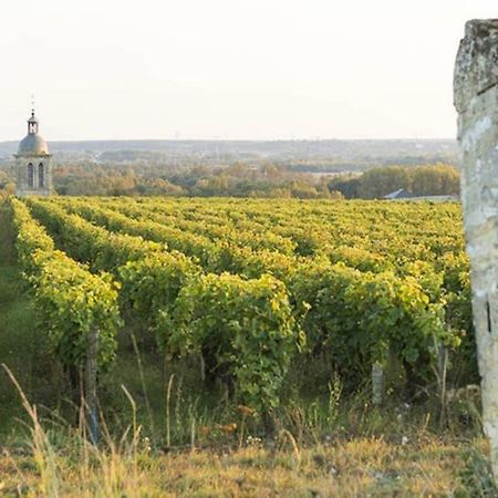 Studio Au Coeur Des Vignes Apartment Монлюис-сюр-Лоар Екстериор снимка
